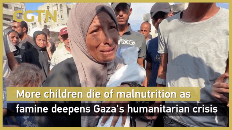 Gaza Crisis: WHO Warns of Man-Made Starvation Gaza_Crisis__WHO_Warns_of_Man_Made_Starvation video poster