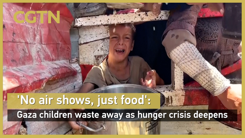 Gaza_Hunger_Crisis__Children_in_Dire_Need_of_Aid video poster