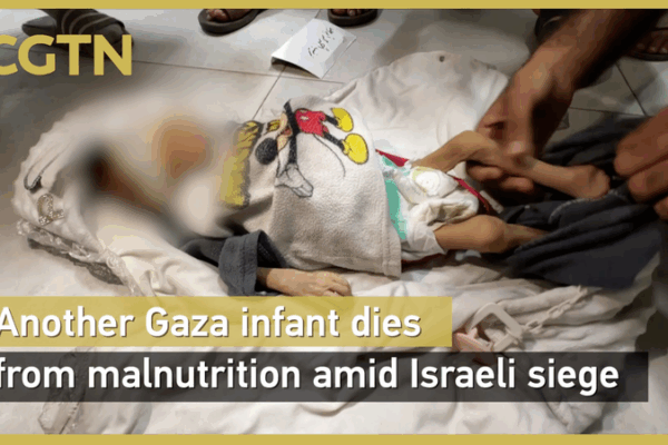 Gaza Tragedy: Infant Succumbs to Hunger Amid Siege Gaza_Tragedy__Infant_Succumbs_to_Hunger_Amid_Siege video poster