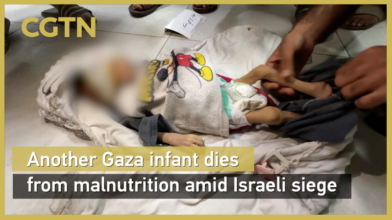 Gaza_Tragedy__Infant_Succumbs_to_Hunger_Amid_Siege video poster