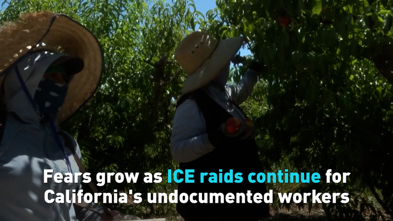 Growing Fears as ICE Raids Shake California’s Undocumented Community Growing_Fears_as_ICE_Raids_Shake_California_s_Undocumented_Community video poster
