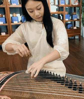 Guzheng Magic at Bird’s Nest Festival Guzheng_Magic_at_Bird_s_Nest_Festival video poster