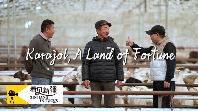 Karajol__A_Bite_That_Sparked_a_Cultural_Revival video poster