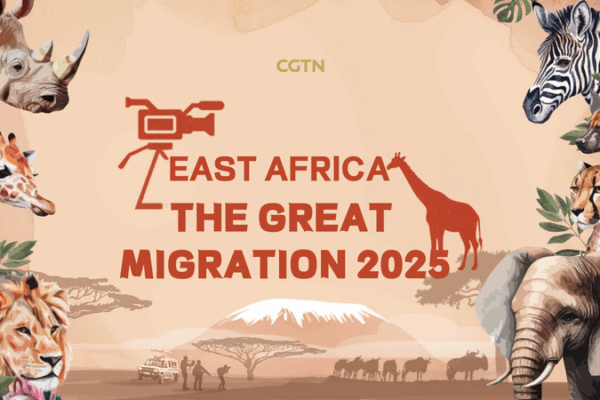 Kenya’s Great Migration: Beyond the Big Five Kenya_s_Great_Migration__Beyond_the_Big_Five video poster