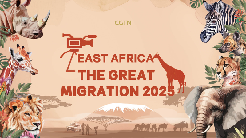 Kenya_s_Great_Migration__Beyond_the_Big_Five_poster - News for amigos, by amigos Kenya_s_Great_Migration__Beyond_the_Big_Five video poster