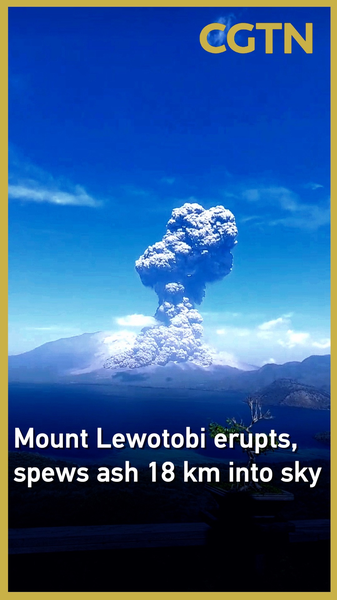 Mount_Lewotobi_Erupts__Ash_Plume_Soars_18km_High video poster