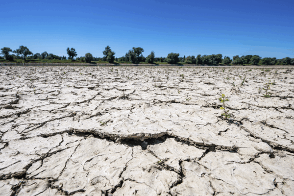 New Drought Era: Global Systemic Risks on the Rise New_Drought_Era__Global_Systemic_Risks_on_the_Rise