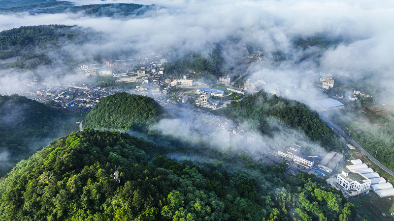 New Volume of Xi Jinping’s Ecological Works Released New_Volume_of_Xi_Jinping_s_Ecological_Works_Released