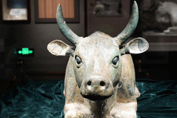 Ningxia Museum Welcomes Record Visitors This Summer! Ningxia_Museum_Welcomes_Record_Visitors_This_Summer_