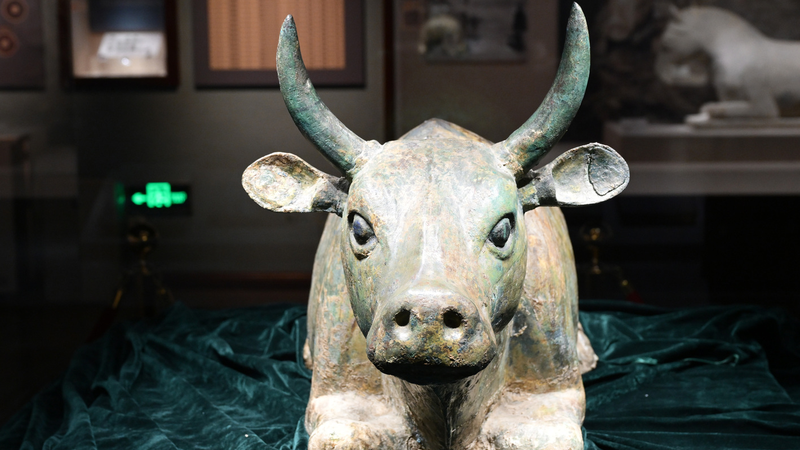 Ningxia_Museum_Welcomes_Record_Visitors_This_Summer_ - News for amigos, by amigos Ningxia_Museum_Welcomes_Record_Visitors_This_Summer_