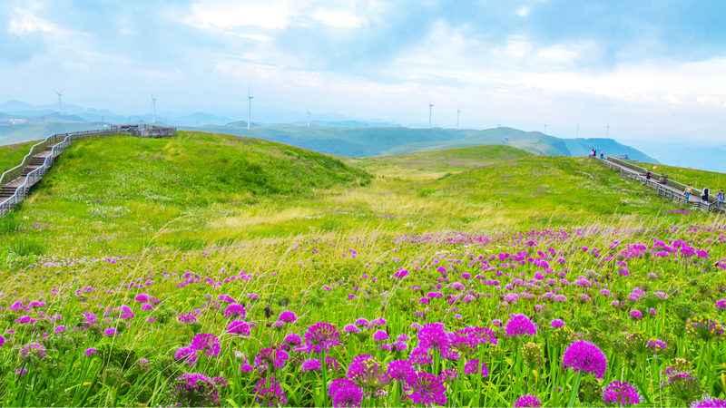 Sino-Swiss Ecotourism Fuels Mutual Growth Sino_Swiss_Ecotourism_Fuels_Mutual_Growth