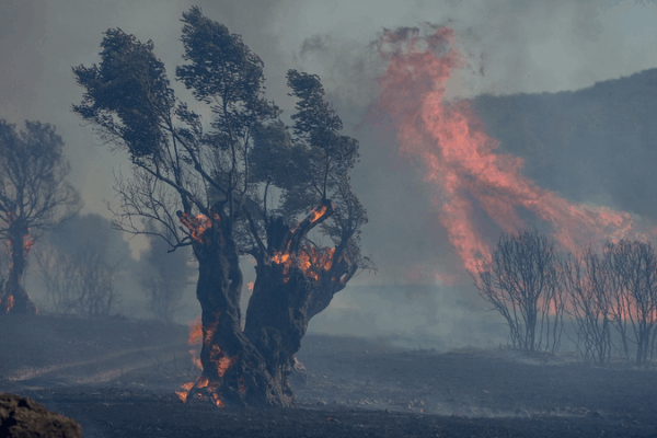 Southern Europe’s Fiery Battle: Wildfires & Heatwaves Southern_Europe_s_Fiery_Battle__Wildfires___Heatwaves