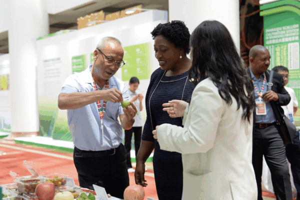 Spring City Innovations: Smart Farming for Zero Hunger Spring_City_Innovations__Smart_Farming_for_Zero_Hunger