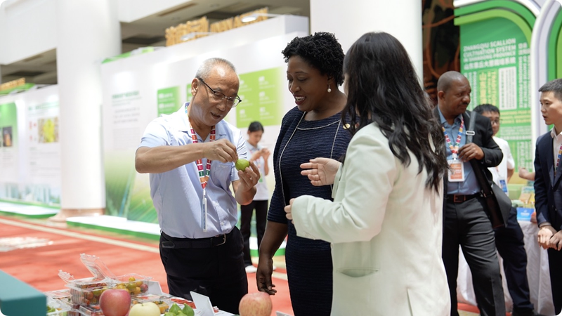 Spring_City_Innovations__Smart_Farming_for_Zero_Hunger