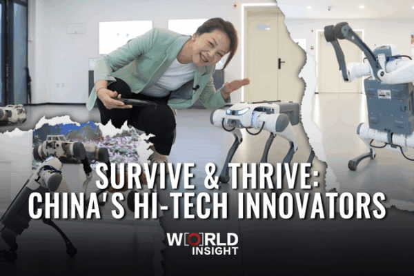 Survive & Thrive: Chinese Mainland’s Hi-Tech Innovators Survive___Thrive__Chinese_Mainland_s_Hi_Tech_Innovators video poster