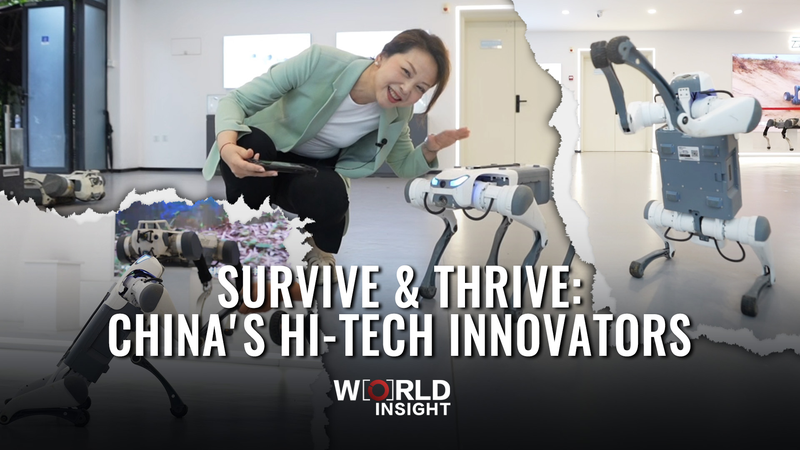 Survive___Thrive__Chinese_Mainland_s_Hi_Tech_Innovators_poster - News for amigos, by amigos Survive___Thrive__Chinese_Mainland_s_Hi_Tech_Innovators video poster