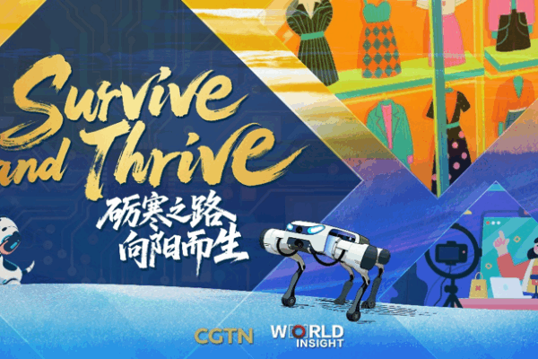 Survive and Thrive: Resilient Chinese Enterprises Tackle Global Challenges Survive_and_Thrive__Resilient_Chinese_Enterprises_Tackle_Global_Challenges video poster