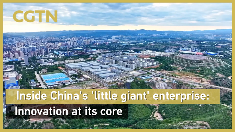 Tech & Tradition: Inside a Little Giant in the Chinese Mainland Tech___Tradition__Inside_a_Little_Giant_in_the_Chinese_Mainland video poster