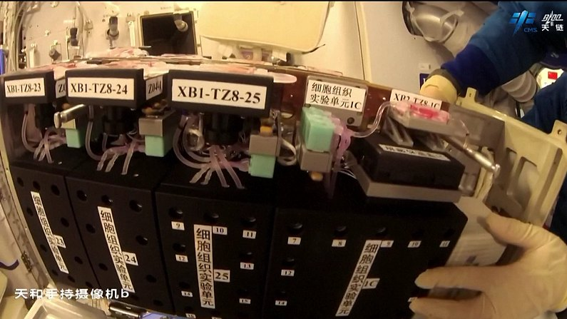 Tianzhou_8_s_Fiery_Re_Entry_Lights_Up_the_Skies_ - News for amigos, by amigos Tianzhou_8_s_Fiery_Re_Entry_Lights_Up_the_Skies_