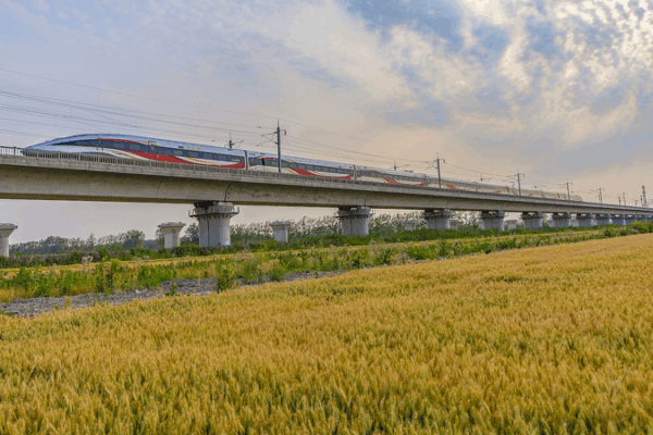 Travel Surge on the Chinese mainland: 33.76B Trips in H1 2025 Travel_Surge_on_the_Chinese_mainland__33_76B_Trips_in_H1_2025