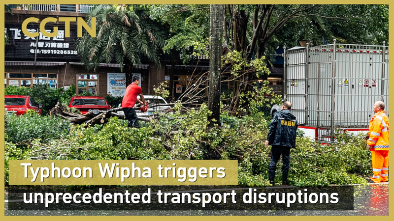 Typhoon Wipha Disrupts Transport in S China Typhoon_Wipha_Disrupts_Transport_in_S_China video poster