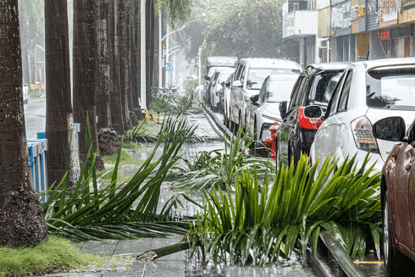 Typhoon Wipha Strikes: Massive Evacuations Hit the Chinese Mainland Typhoon_Wipha_Strikes__Massive_Evacuations_Hit_the_Chinese_Mainland video poster