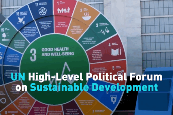 UN HLPF Charting a Path for 2030 Sustainable Goals UN_HLPF_Charting_a_Path_for_2030_Sustainable_Goals video poster