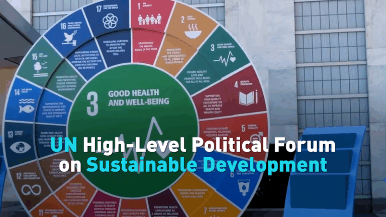 UN HLPF Charting a Path for 2030 Sustainable Goals UN_HLPF_Charting_a_Path_for_2030_Sustainable_Goals video poster