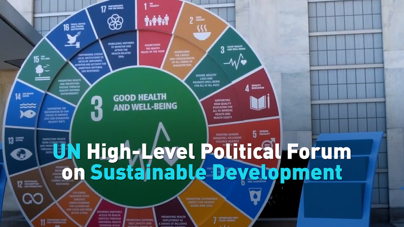 UN_HLPF_Charting_a_Path_for_2030_Sustainable_Goals video poster