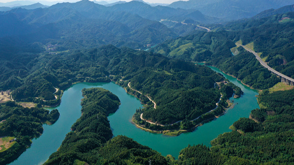Xi_Jinping_s_Ecological_Speech_Ignites_a_Greener_Future - News for amigos, by amigos Xi_Jinping_s_Ecological_Speech_Ignites_a_Greener_Future