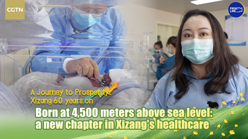 2OBDUUVQ8BW7S893R1FP - News for amigos, by amigos Born at 4,500m: Xizang’s High-Altitude NICU Brings Hope video poster