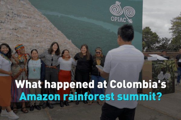 Amazon Cooperation Treaty Summit Wraps Up in Bogotá Amazon Cooperation Treaty Summit Wraps Up in Bogotá video poster
