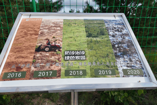 Desert to Green: How Inner Mongolia’s Horqin Sandy Land Is Thriving Desert to Green: How Inner Mongolia’s Horqin Sandy Land Is Thriving