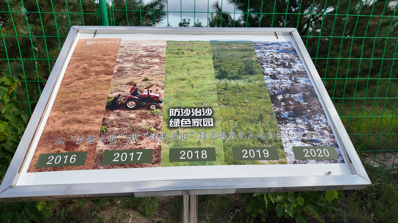 Desert to Green: How Inner Mongolia’s Horqin Sandy Land Is Thriving