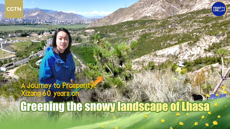 Lhasa’s High-Altitude Green Revolution 🌲 video poster
