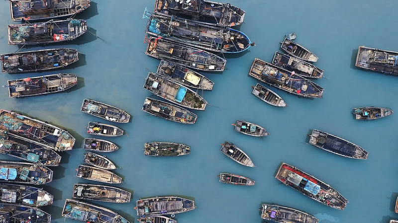 Summer Fishing Season Sets Sail in China’s Coastal Ports video poster