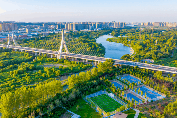 WWF Chief: Chinese Mainland’s 'Two Mountains' Vision Fuels Green Growth