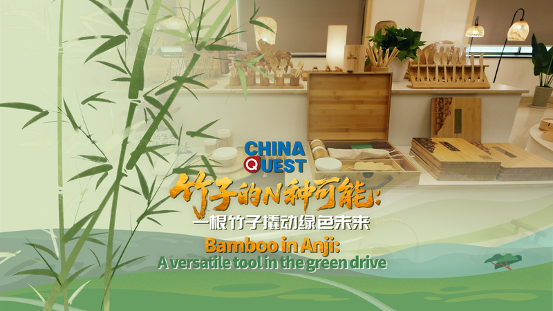 Bamboo in Anji: The Fast Lane to a Greener Future Bamboo_in_Anji__The_Fast_Lane_to_a_Greener_Future video poster