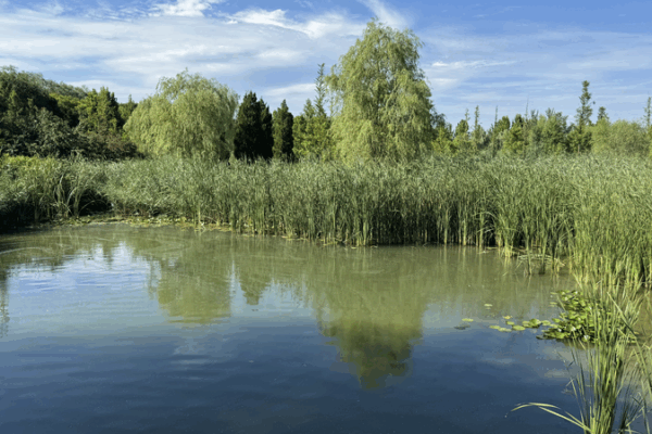 Beijing’s Wenyu River Park: From Polluted Waterway to Eco Hub Beijing_s_Wenyu_River_Park__From_Polluted_Waterway_to_Eco_Hub video poster