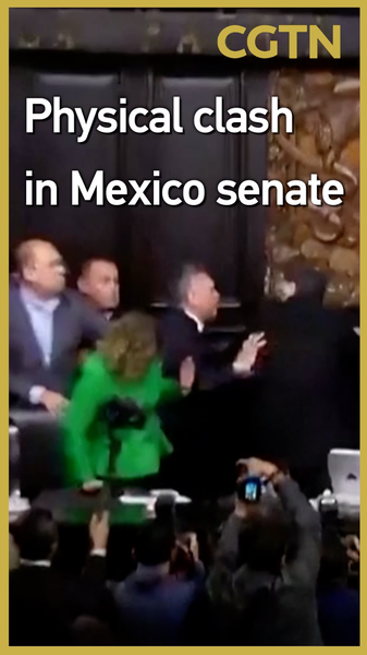 Brawl Erupts in Mexico Senate Over U.S. Cartel Intervention Brawl_Erupts_in_Mexico_Senate_Over_U_S__Cartel_Intervention video poster