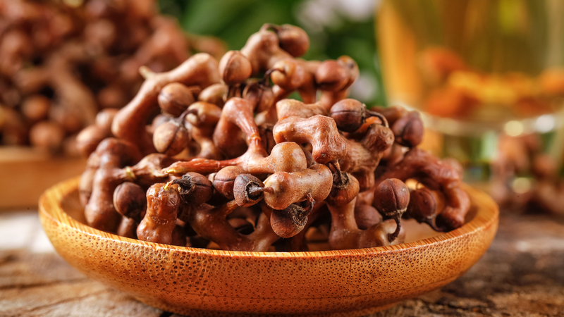 How China’s “Two Mountains” Concept Drives Green Poverty Relief