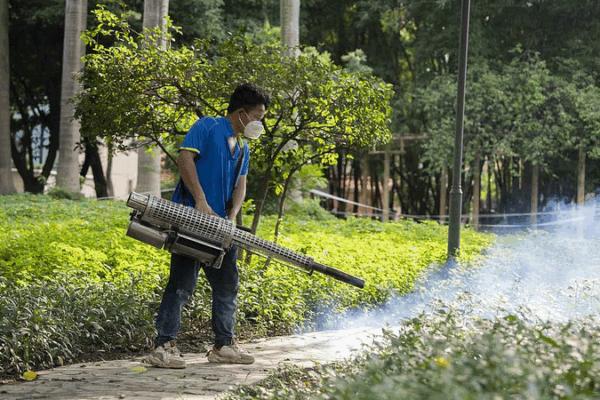 Chikungunya Cases in Foshan Drop After Prevention Push Chikungunya_Cases_in_Foshan_Drop_After_Prevention_Push