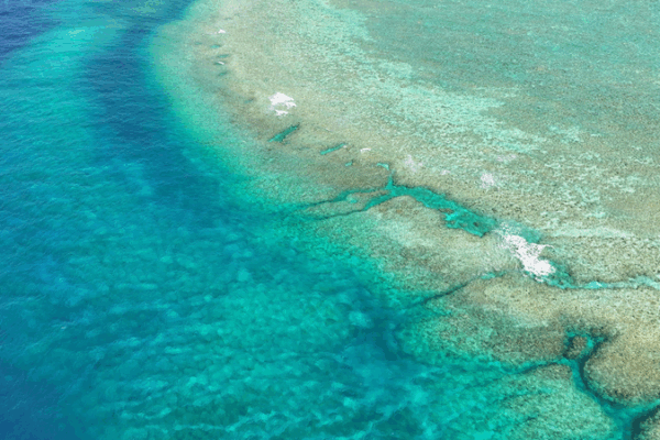 China Opposes Illegal Island-Building in South China Sea China_Opposes_Illegal_Island_Building_in_South_China_Sea