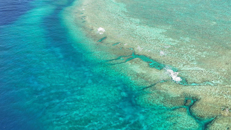 China_Opposes_Illegal_Island_Building_in_South_China_Sea - News for amigos, by amigos China_Opposes_Illegal_Island_Building_in_South_China_Sea