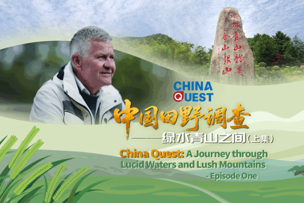 China Quest: Eco Revival in Yucun Village China_Quest__Eco_Revival_in_Yucun_Village video poster