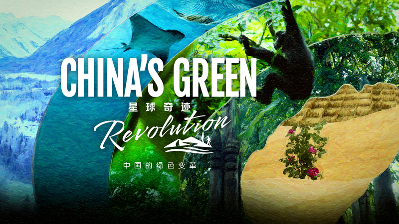 China_s_Green_Revolution__A_Promise_for_the_Future video poster