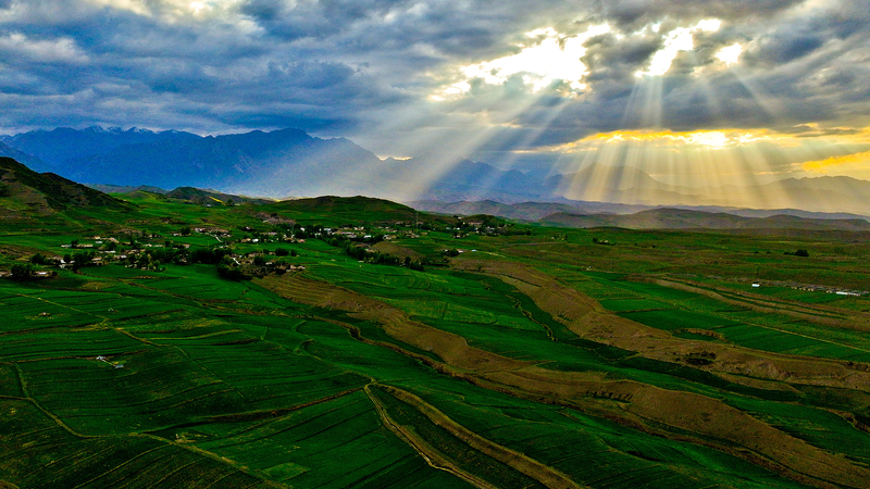 Chinese_Mainland_s_Park_Reform_Sparks_Biodiversity_Boost