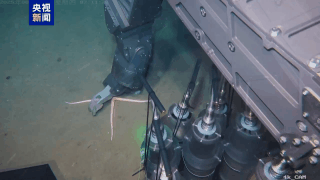 Deep Dive Success: Chinese mainland’s Haiqin ROV Conquers 4,140m Trial Deep_Dive_Success__Chinese_mainland_s_Haiqin_ROV_Conquers_4_140m_Trial