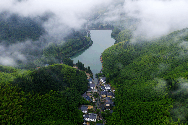 Discover Luhuadang: Mogan Mountain’s Summer Oasis Discover_Luhuadang__Mogan_Mountain_s_Summer_Oasis video poster