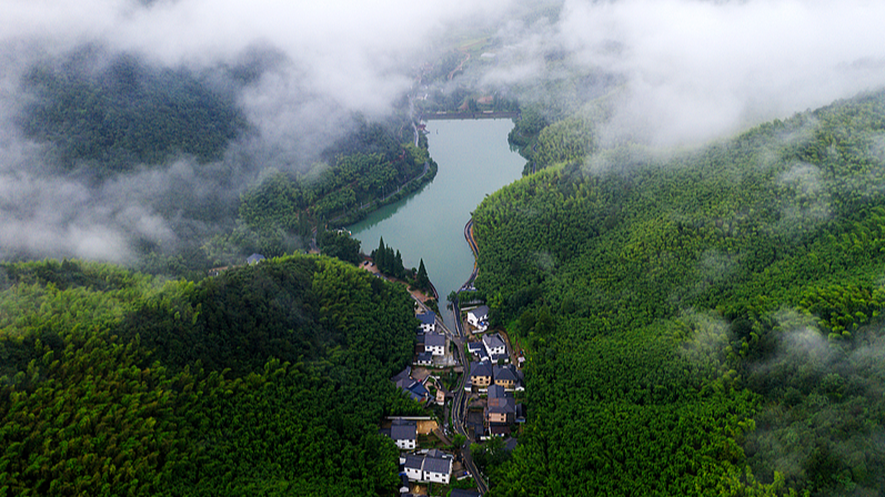 Discover_Luhuadang__Mogan_Mountain_s_Summer_Oasis video poster